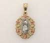 Plated Tri-Color Virgin Mary Pendant